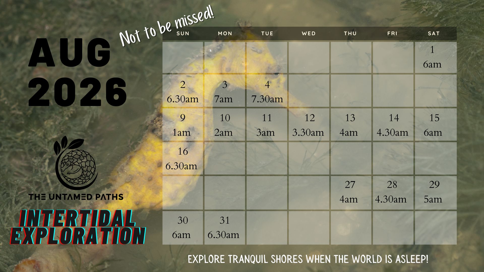 Nature Tours in Singapore. Herping, Birdwatching and Wildlife