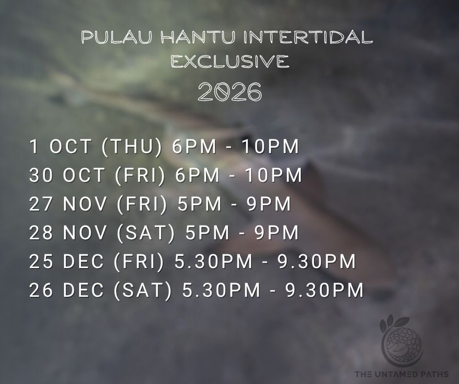 HANTU 1
