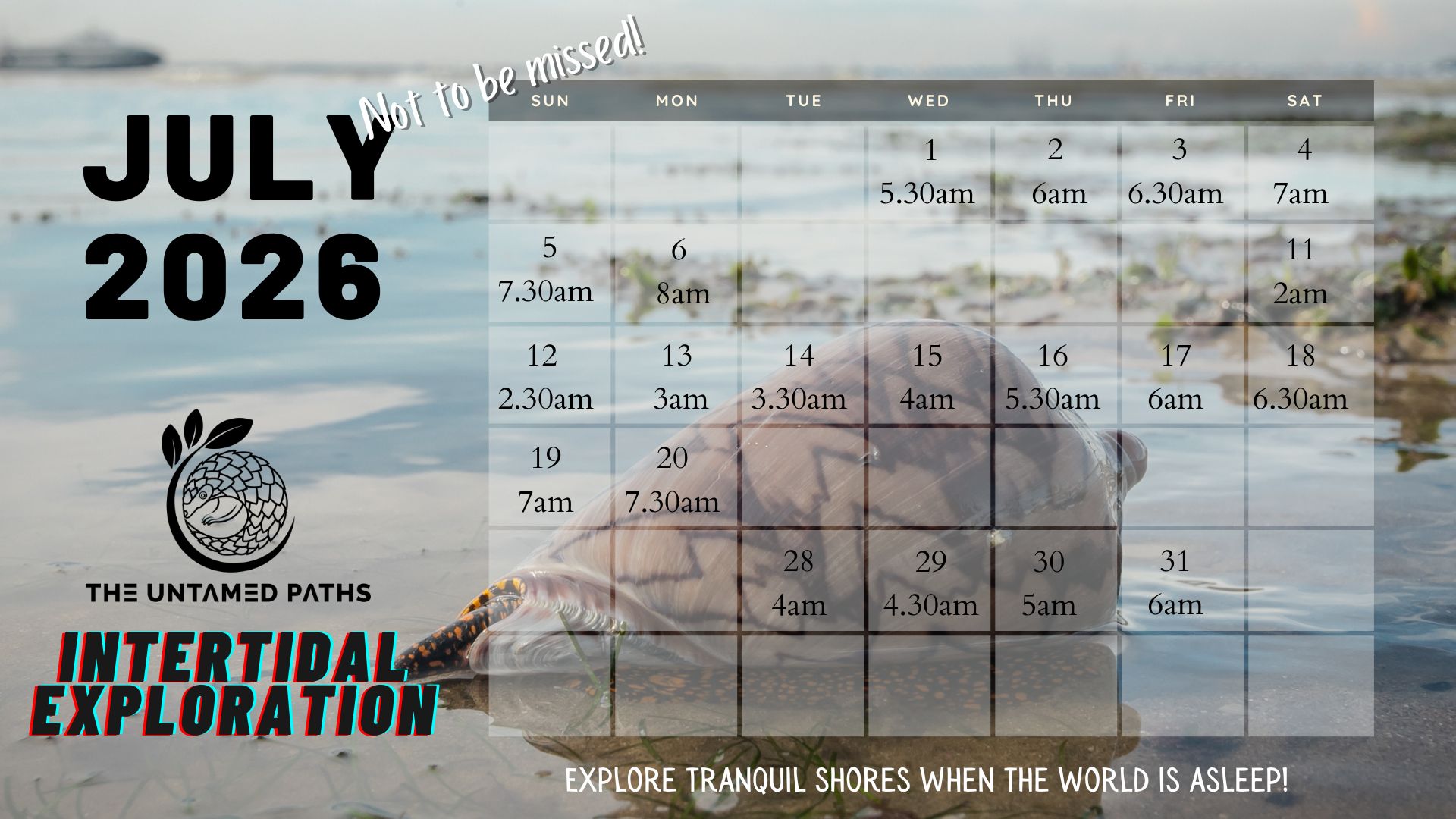 Nature Tours in Singapore. Herping, Birdwatching and Wildlife