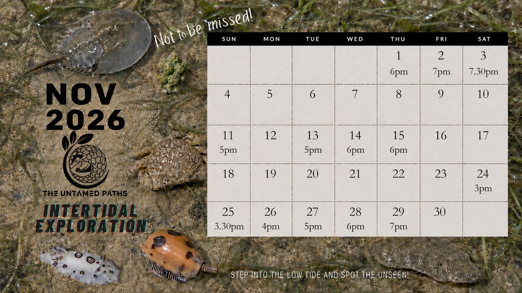 Nature Tours in Singapore. Herping, Birdwatching and Wildlife