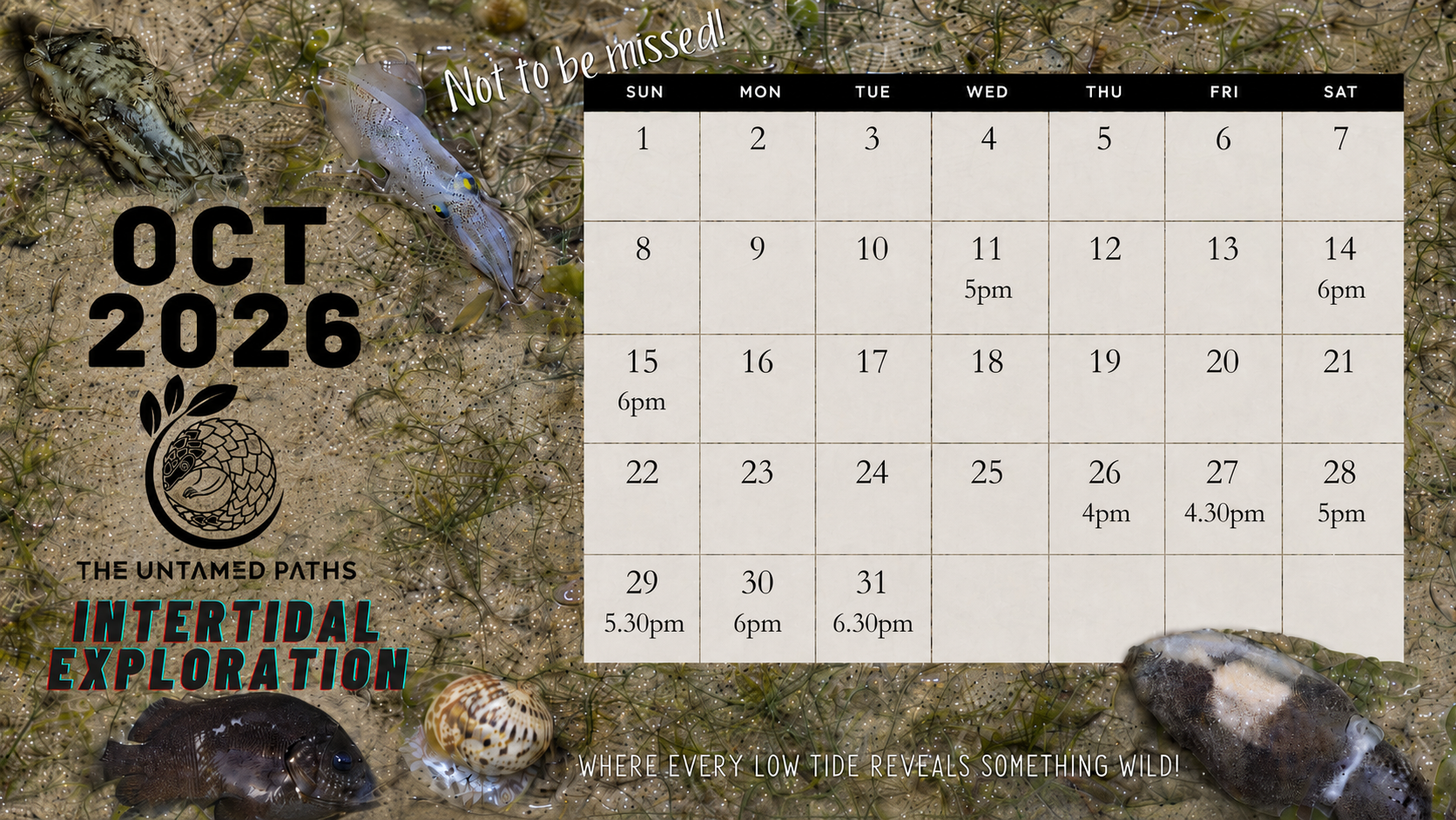 Nature Tours in Singapore. Herping, Birdwatching and Wildlife