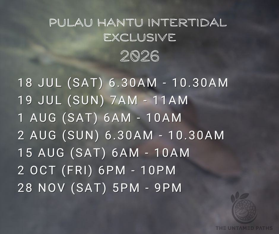 P.Hantu 10
