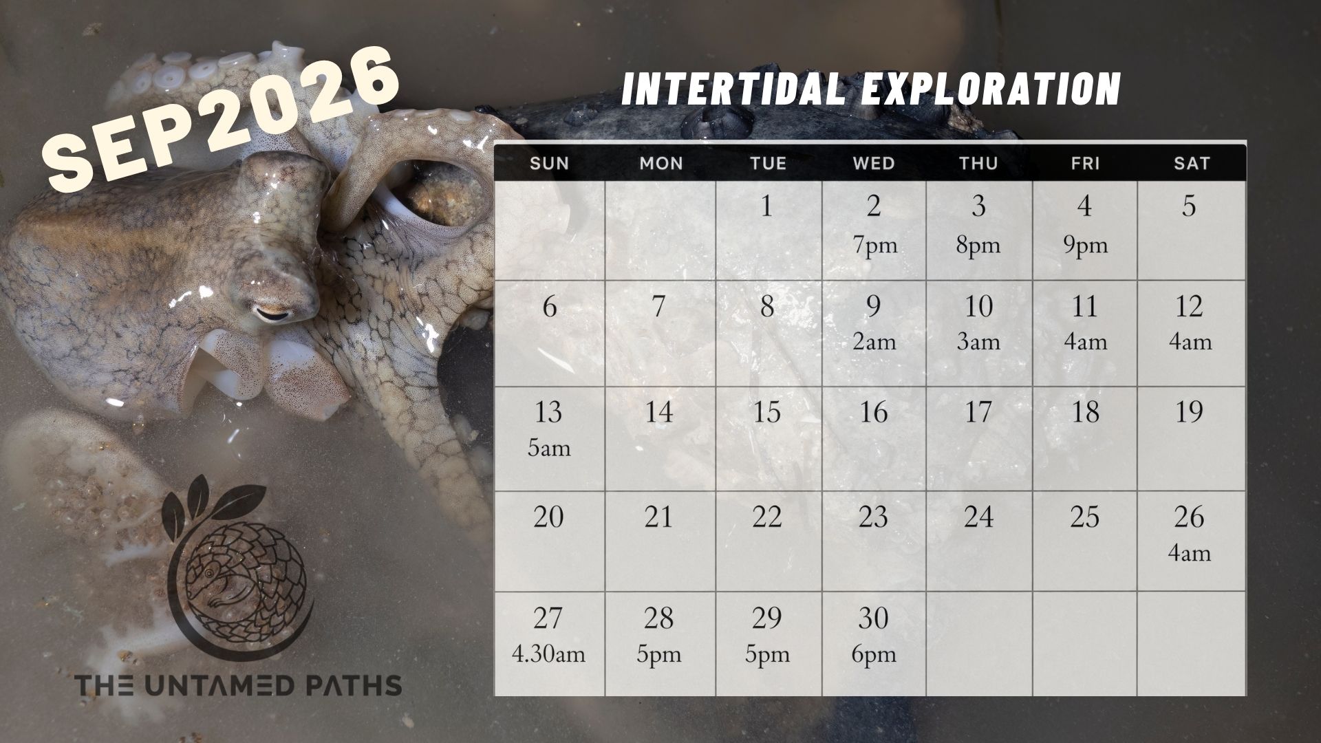 Nature Tours in Singapore. Herping, Birdwatching and Wildlife